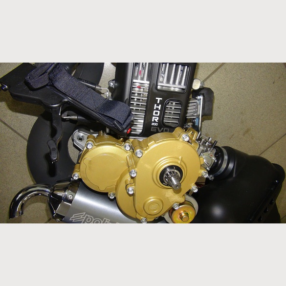 Polini Thor 200 Evo Walbro Electric starter + Flash starter Polini Thor 200 Evo Walbro Electric starter + Flash starter