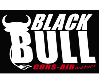Парамотор на базе Black Bull