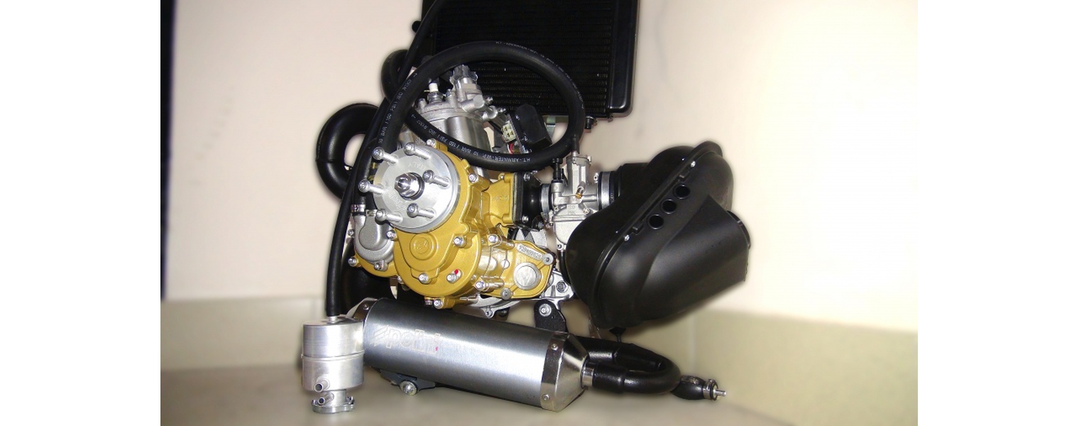Polini Thor 250 PWK carburetor Pull start FLASH STARTER SkyRunner